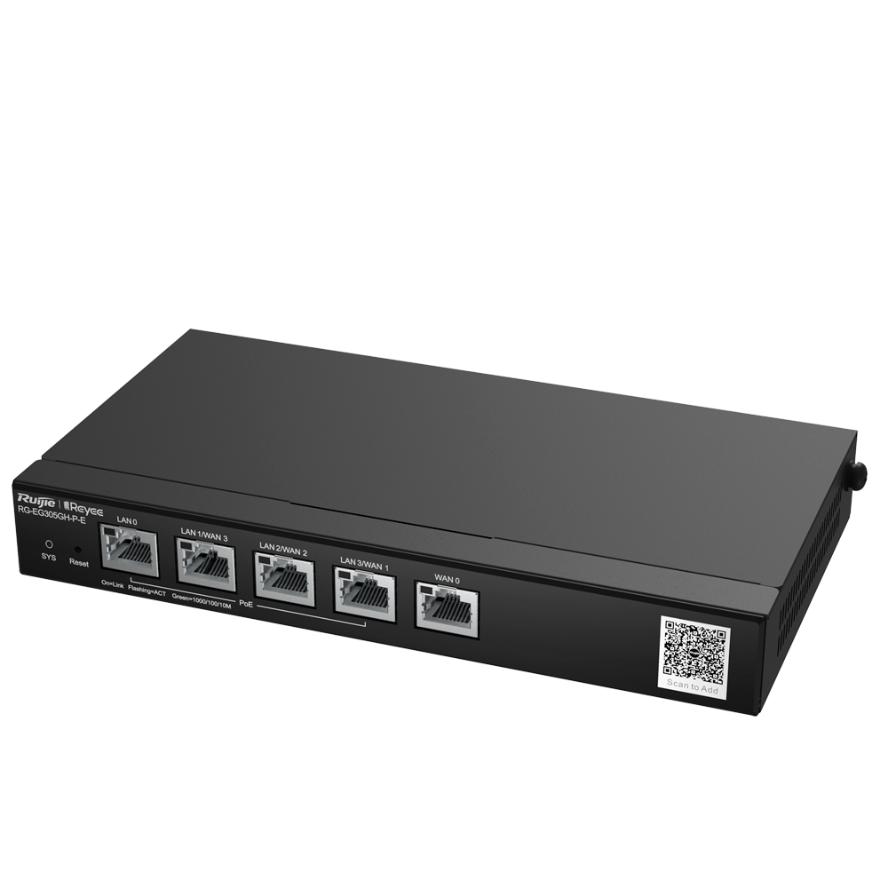 RG-EG305GH-P-E - Vista 2