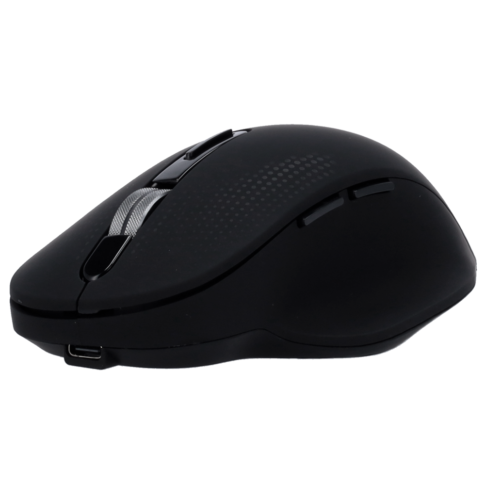 SF-MOUSE-B - Vista 2