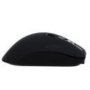 SF-MOUSE-B - Vista 3