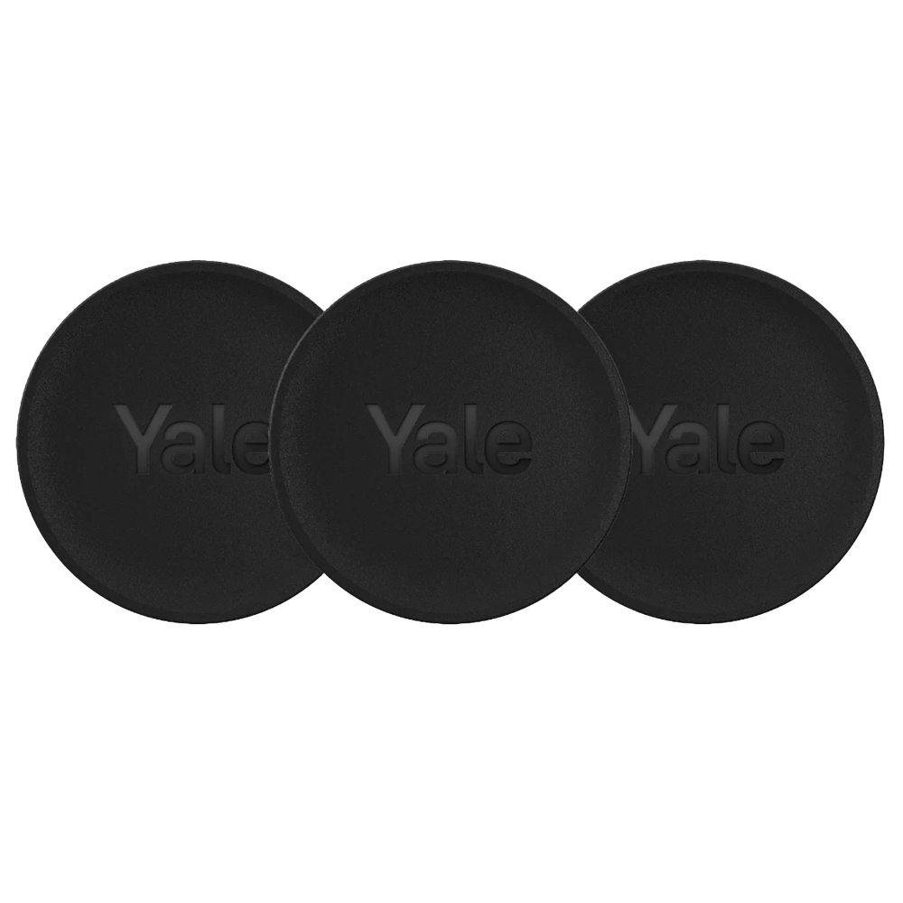 YALE-DOT-B - Vista 1