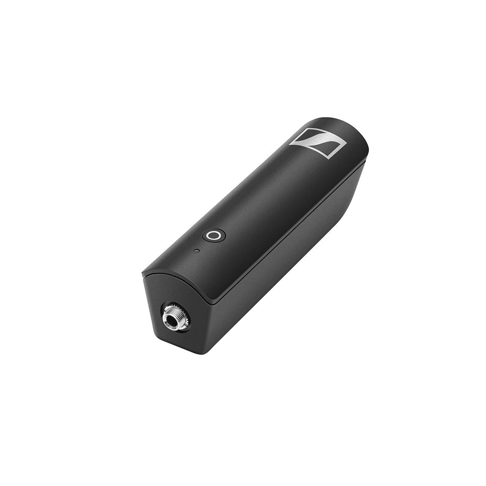 XSW-D MINI JACK RX