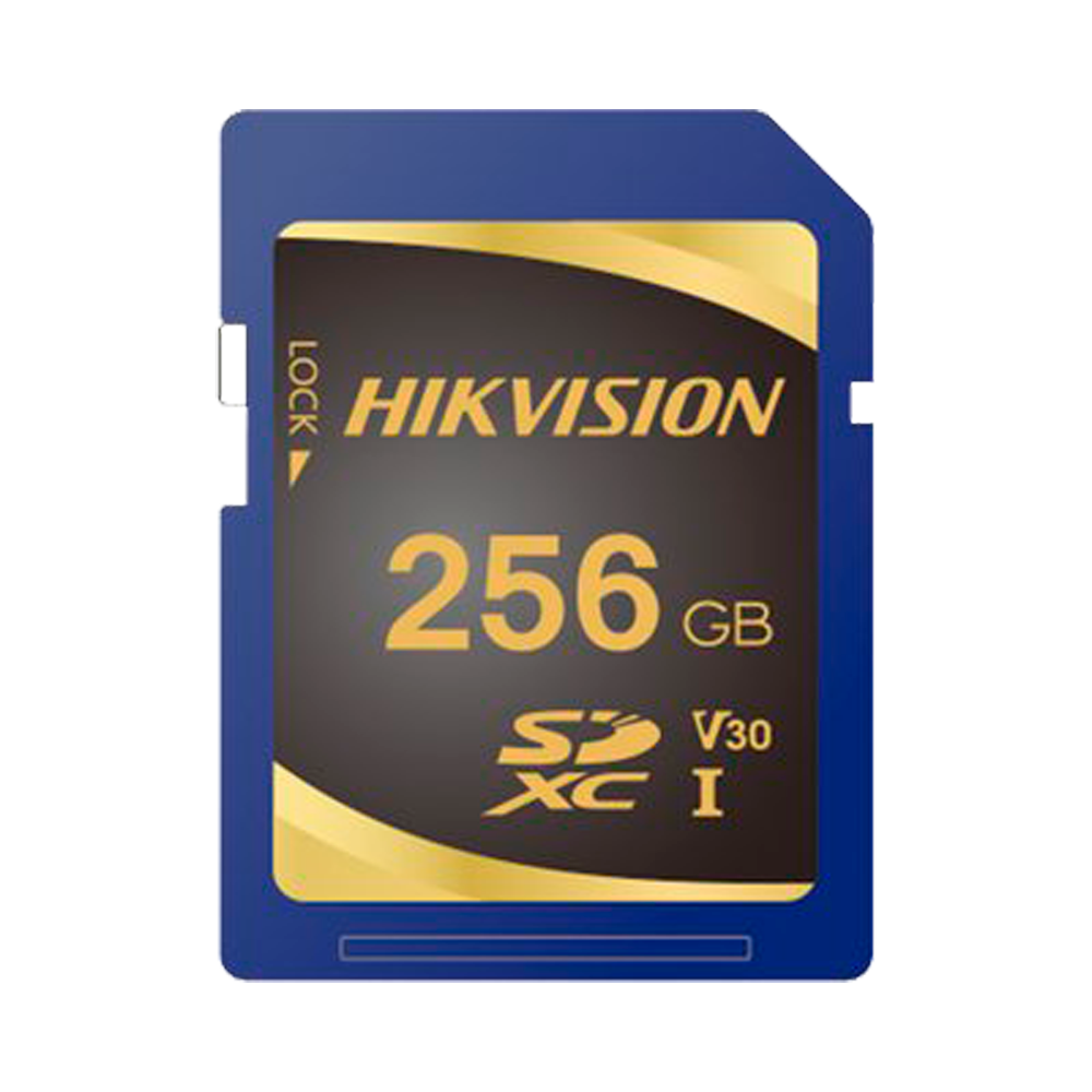 [V-HS-SD-P10STD-256G] HS-SD-P10STD-256G