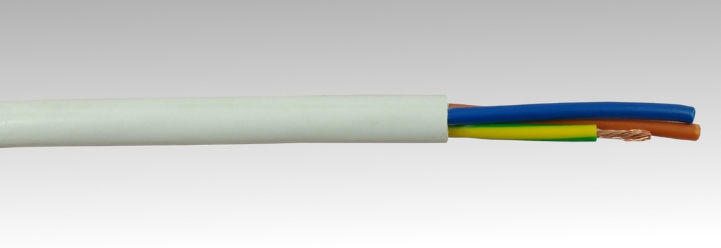 [CER-08105411] 08105411
