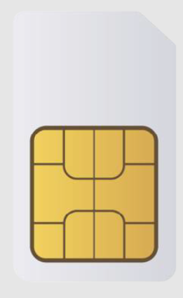 [V-M2M-CARD-ES] M2M-CARD-ES