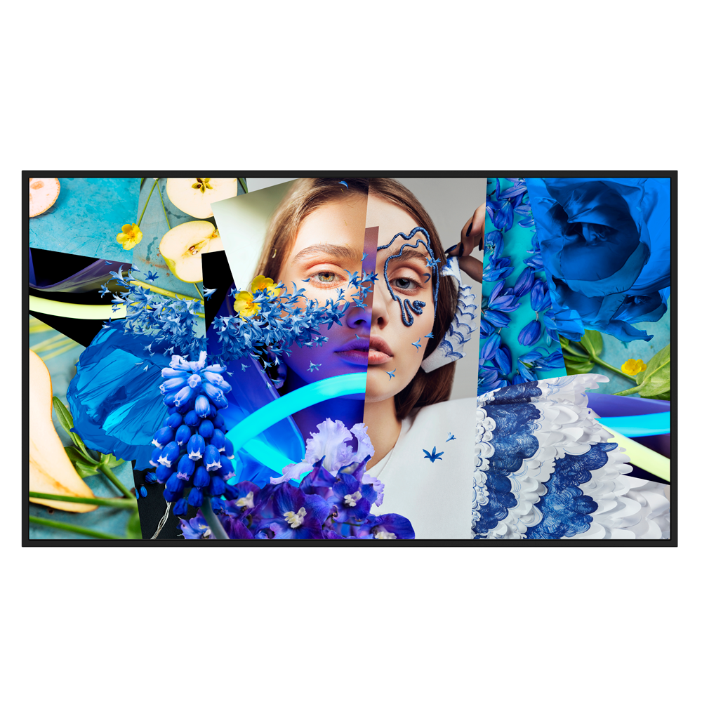 [V-DS-D6032FN-DP] DS-D6032FN-DP