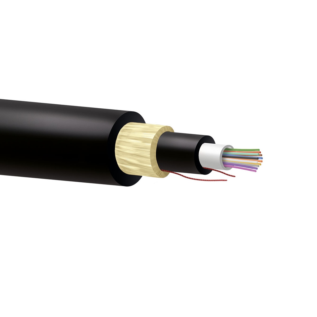 F21-08HDK-FP11S10W30