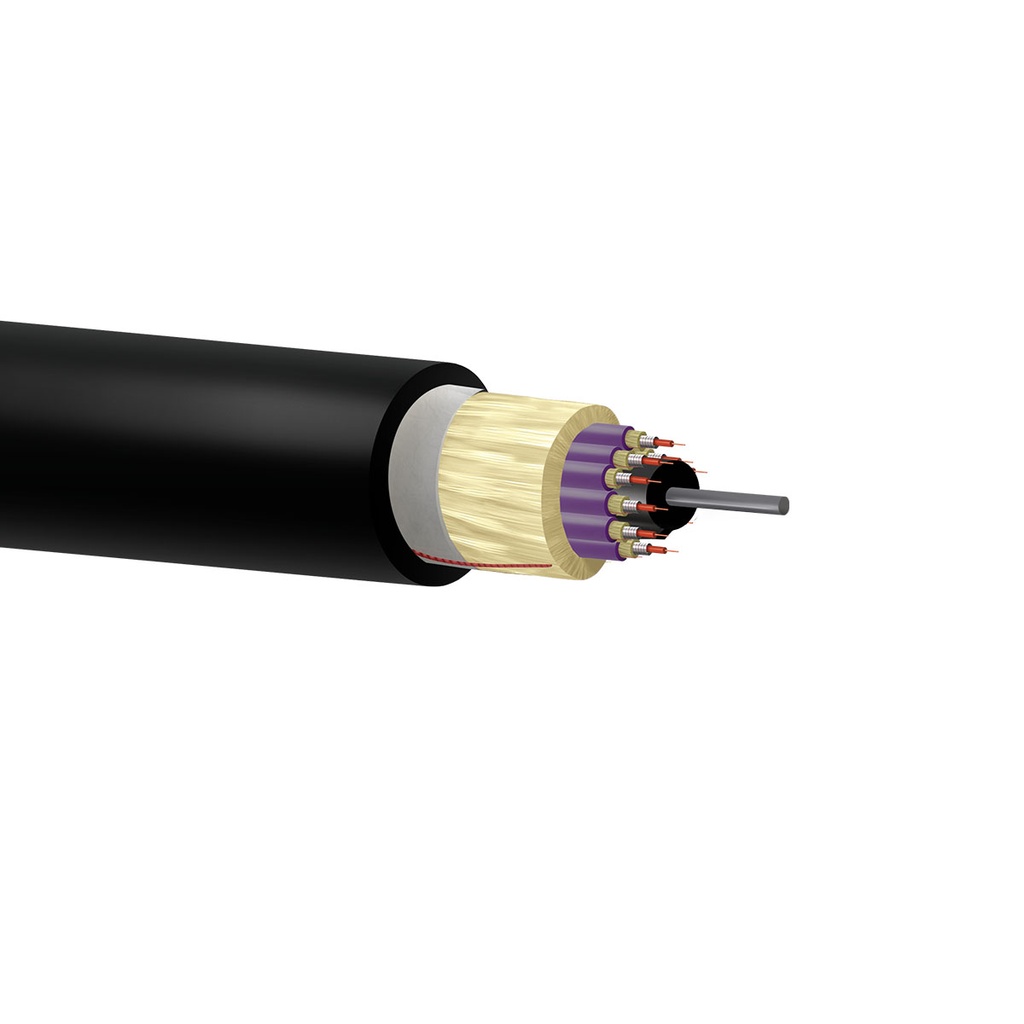 F60CD-2-24M4-D1L7VN