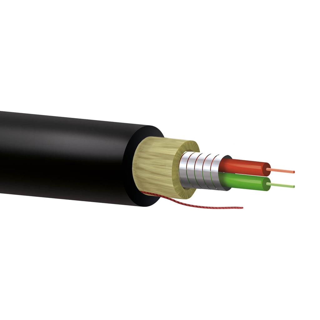 F60M-02A-P-D1LN-BR