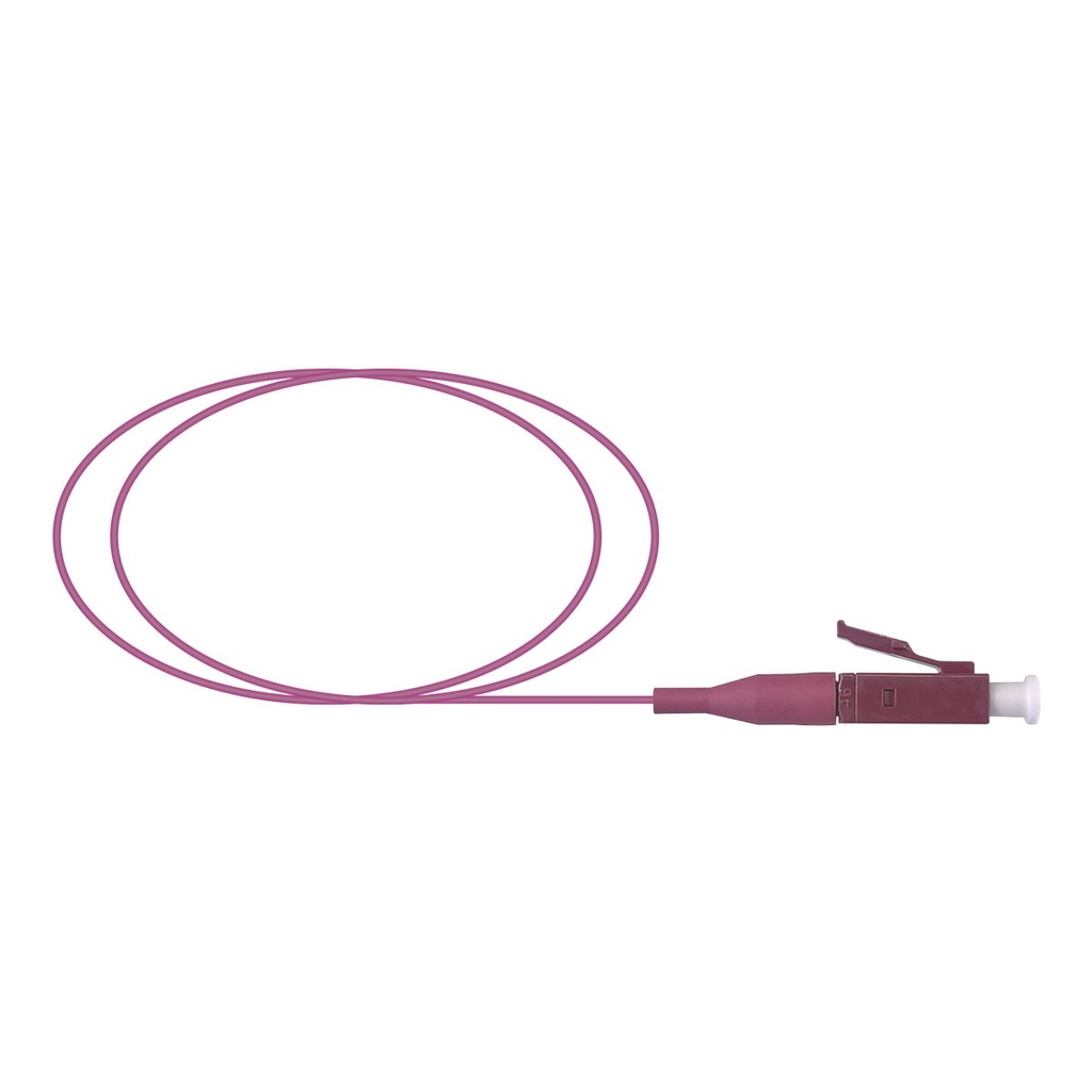 [KEY-TF-PLP19-V015] TF-PLP19-V015