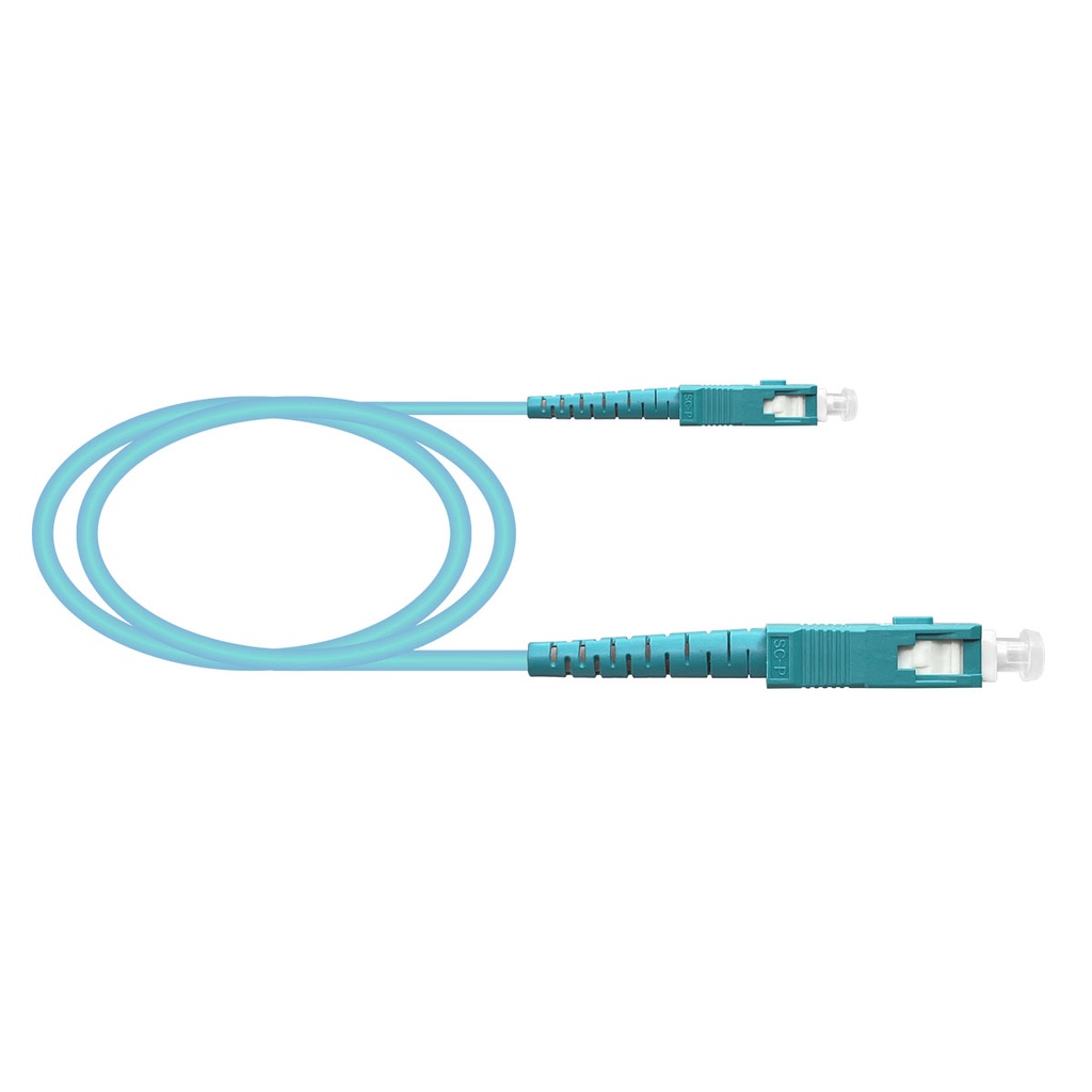 [KEY-TF-LSP33-A05] TF-LSP33-A05