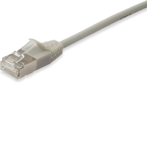 EQ606119