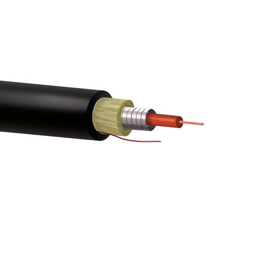 [KEY-F60M-01A-P-D1LN-BR] F60M-01A-P-D1LN-BR