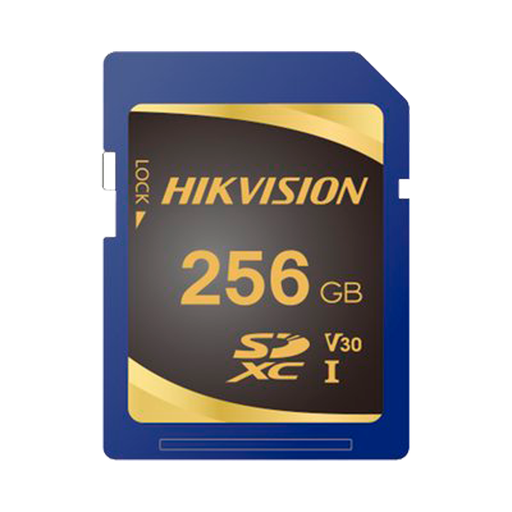 [V-HS-SD-P10STD-256G] HS-SD-P10STD-256G