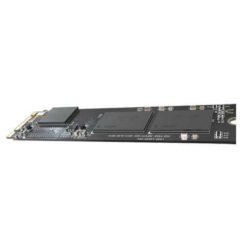 [V-HS-SSD-E100NI-256G-2280] HS-SSD-E100NI-256G-2280