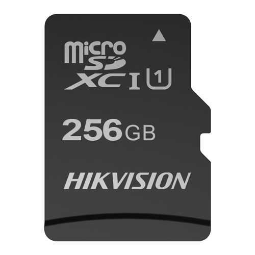 [V-HS-TF-C1STD-256G] HS-TF-C1STD-256G
