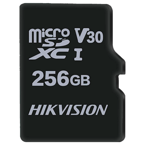 [V-HS-TF-M1STD-256G] HS-TF-M1STD-256G