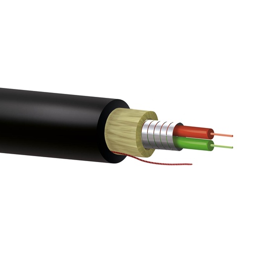[KEY-F60M-02A-P-D1LN-BR] F60M-02A-P-D1LN-BR