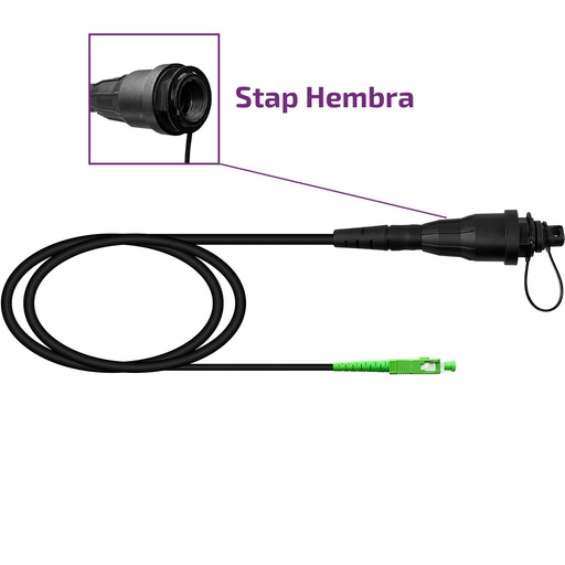 [KEY-TF-EXT-10-HTAPH-SA-40-PR] TF-EXT-10-HTAPH-SA-40-PR