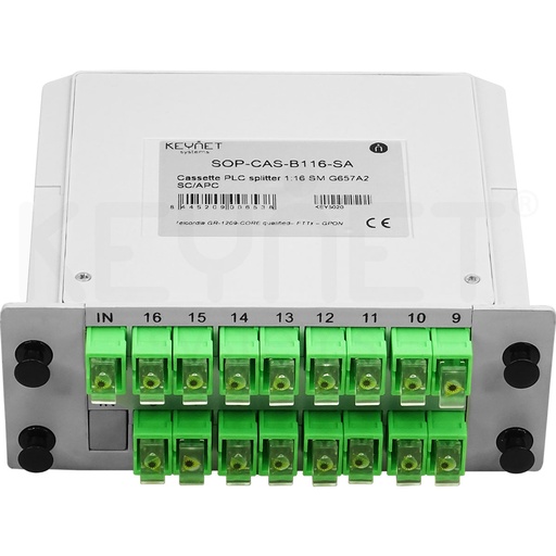 [KEY-SOP-CAS-B116-SA] SOP-CAS-B116-SA